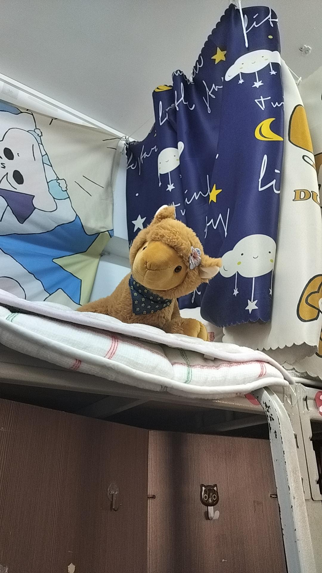 那就带走吧