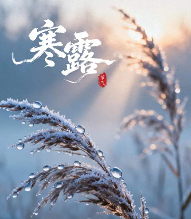 今日寒露，三宜、三忌、三秘诀，过好深秋15天！
