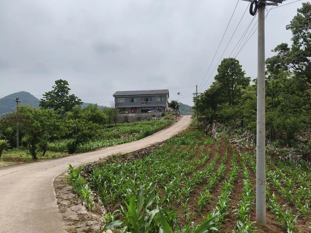 中小学教师：感恩工资改革
一，那时我们的教龄工资最高十元，现将教龄工资改为薪级工