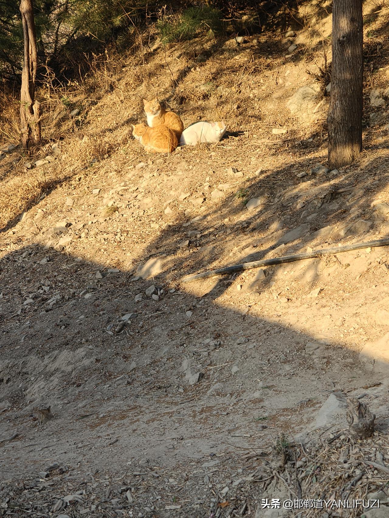 我要上精选-全民写作大赛 都说写作是文人专属，可在这全民创作时代，哪有什么门槛。