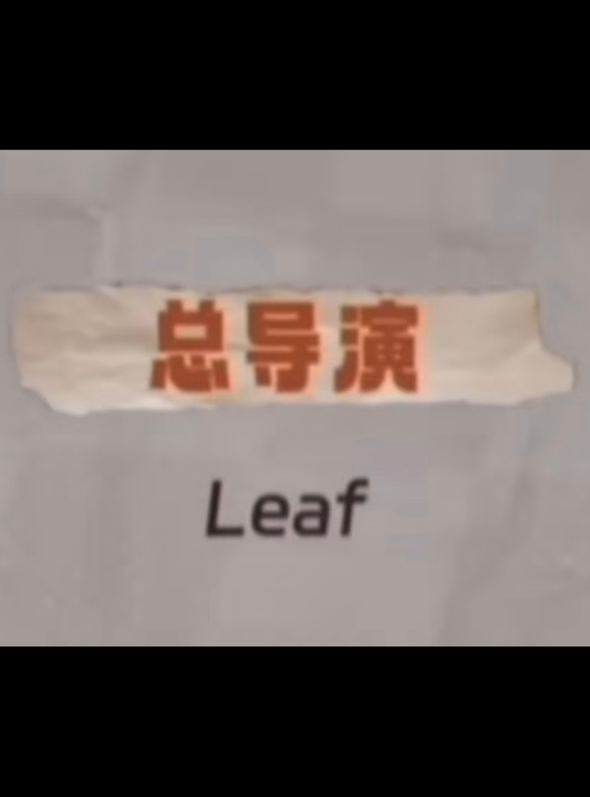 投：当时评论的是总导演 ​​​