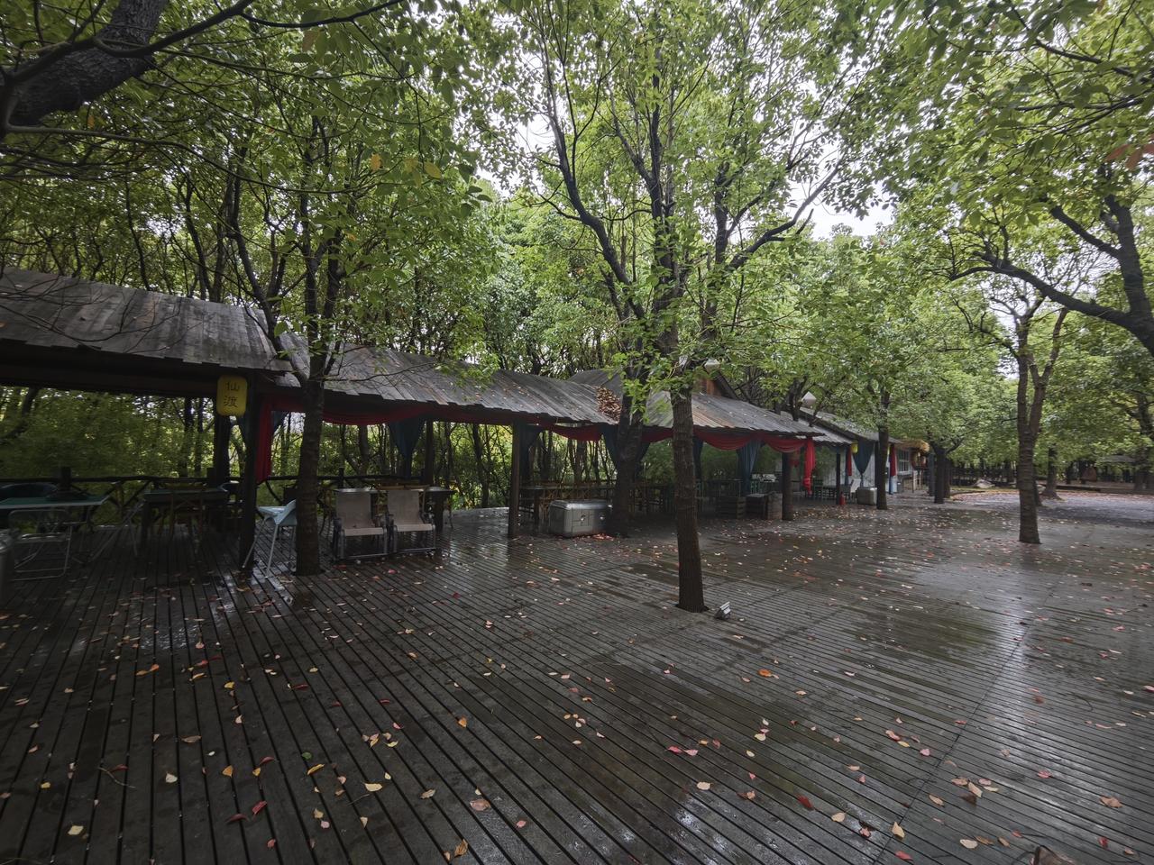 秋天的风吹落了夏的挽留，叶儿躺在秋雨润过的田地，大地轻声的昵喃:你们才是我的能量