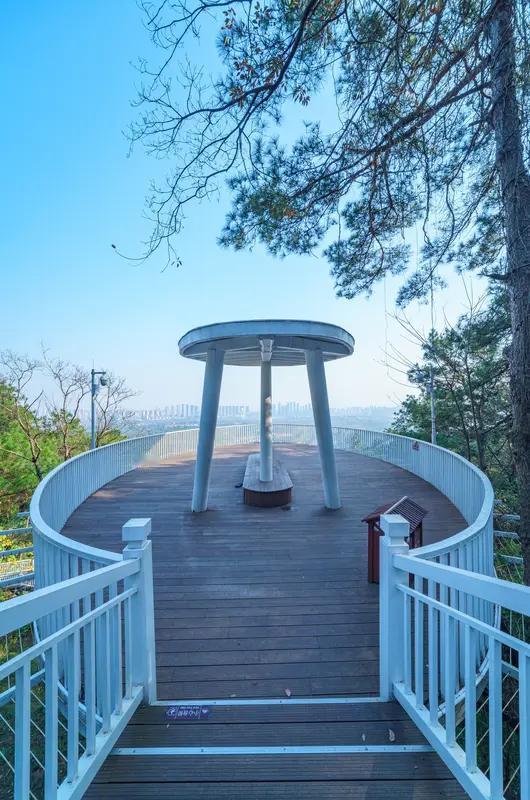 住在山顶的小猫！一天被游客抱下山3次，结局暖到破防
 
家人们见过这么执着的小猫