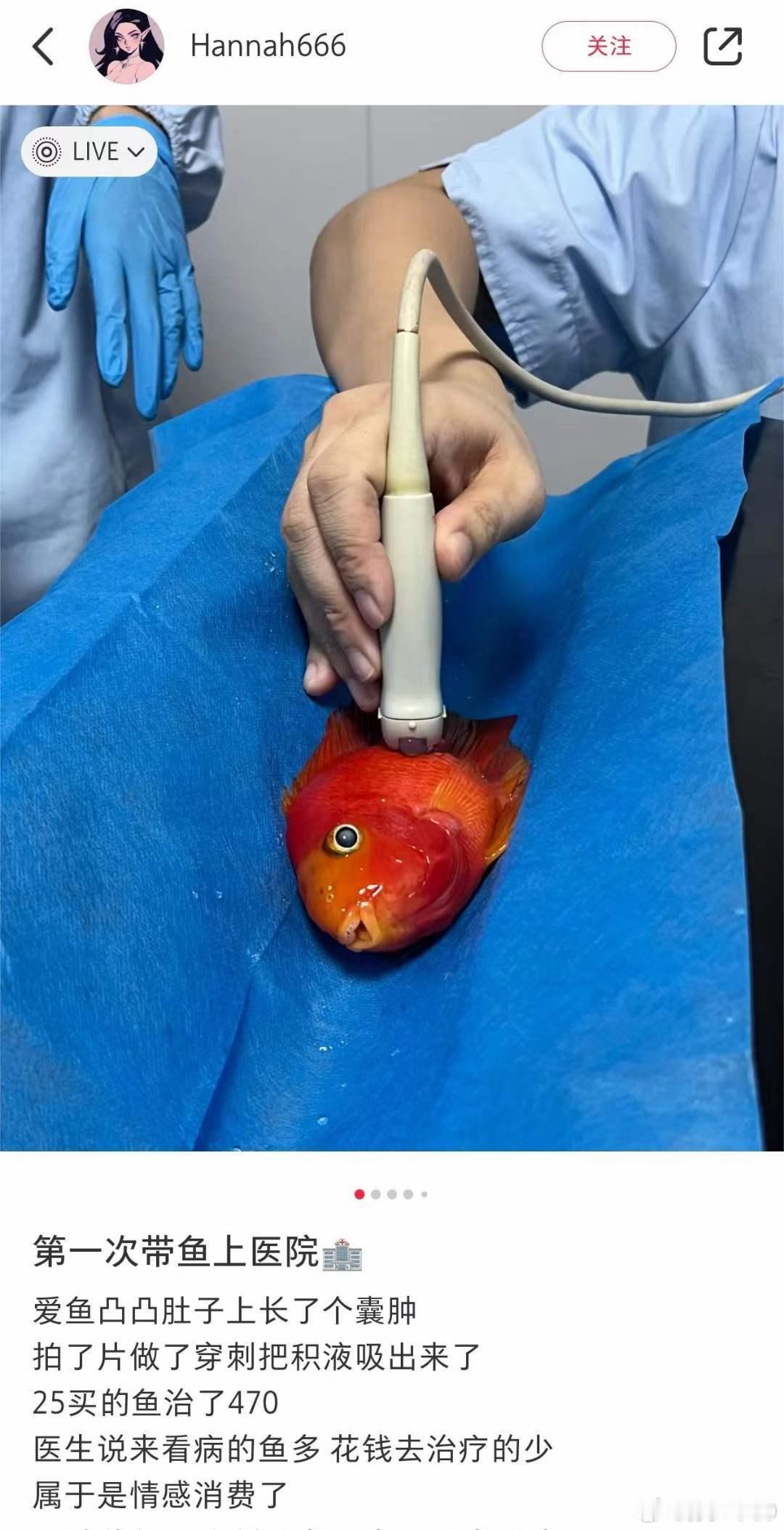 今天大V好像都在泰国，还有在国内的吗？ ​​​