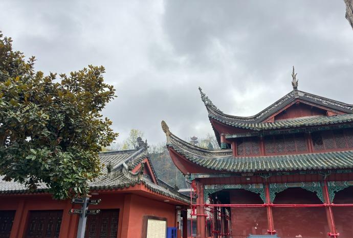 祝我今年一心只有学习与资料准备，天天早起背单词，晚上加班整理笔记，目标明确地把所