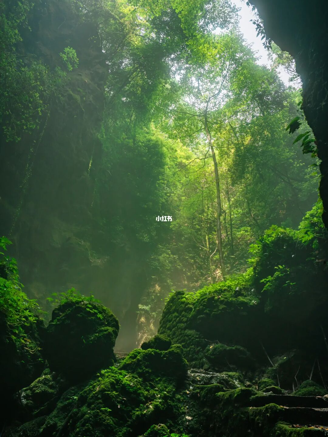 成都 |1.5h  藏着🌳川西第一大天窗 看溶洞