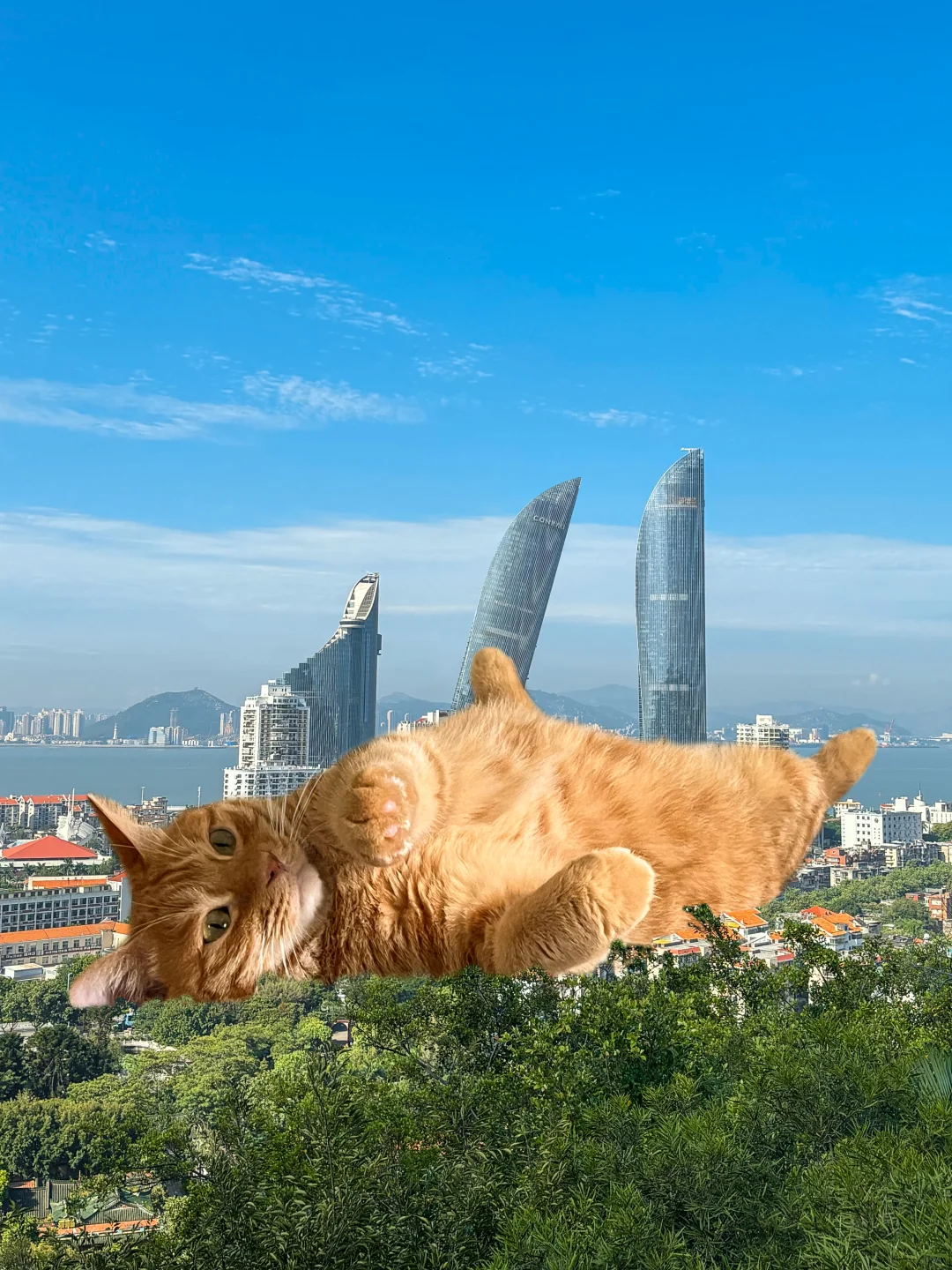 你好，厦门