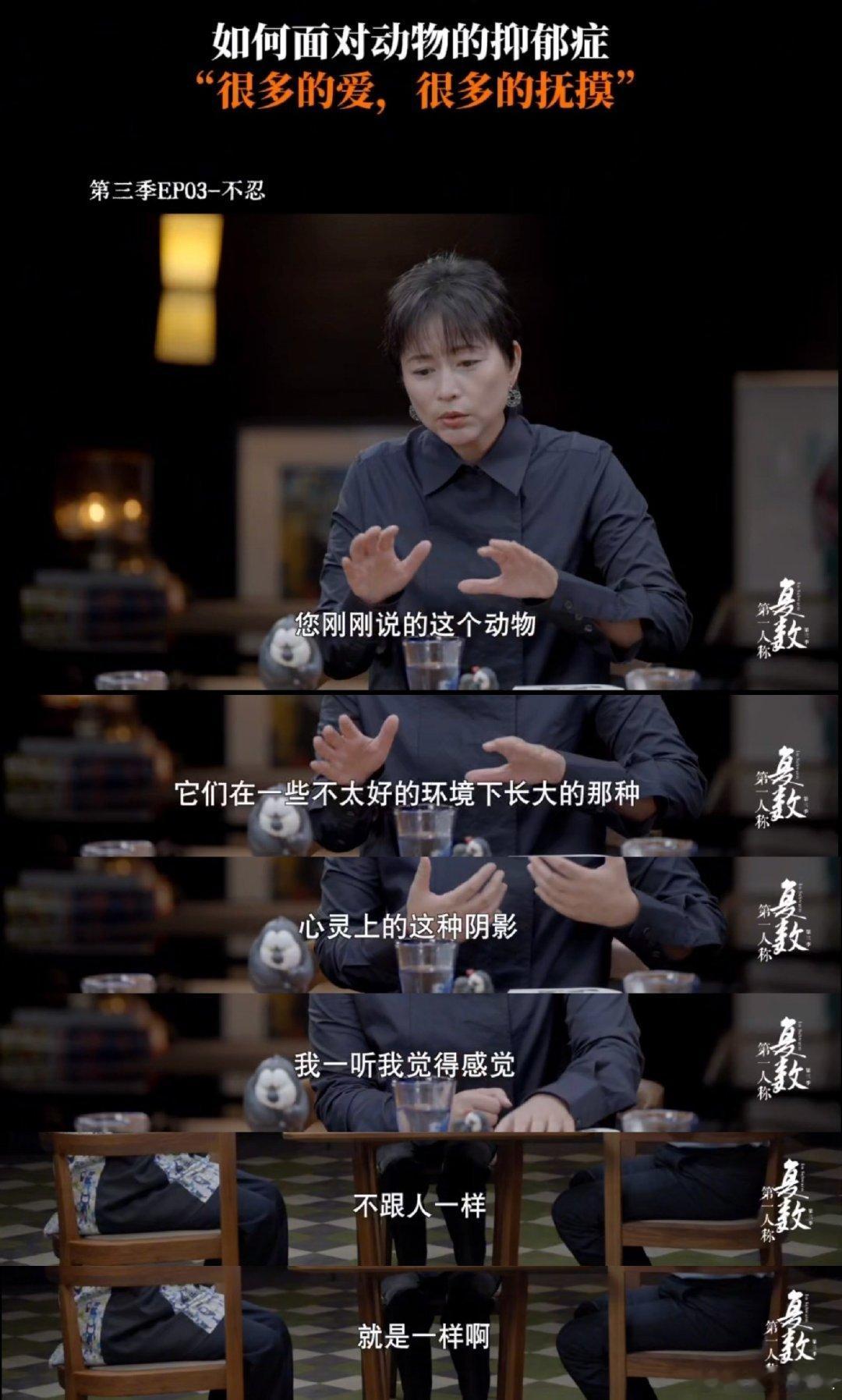 原来动物也会得抑郁症不是想象，是《第一人称复数》撕开的现实！张越收养的残疾小狗，