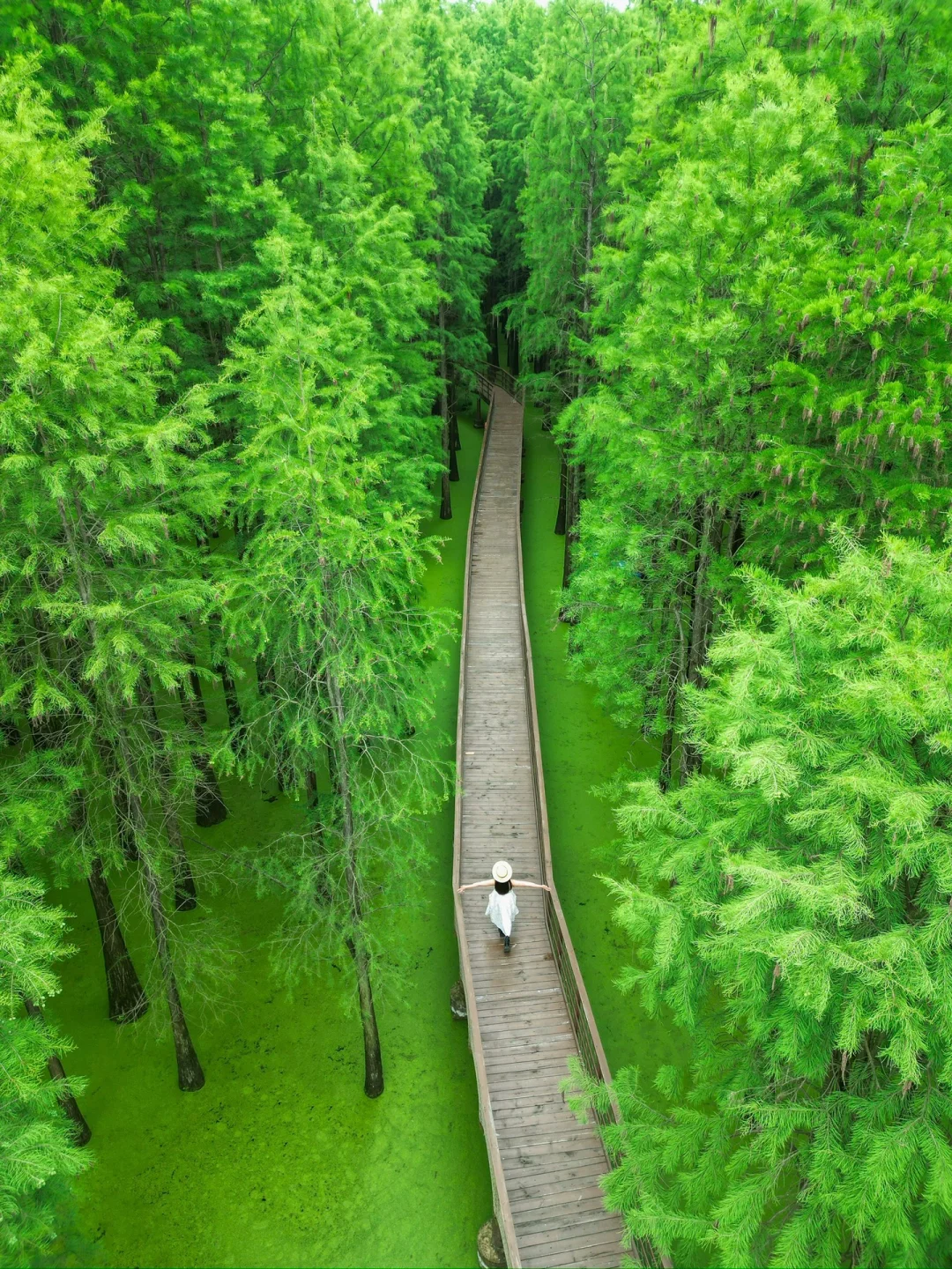 如果你来杭州，我不会让你去西湖…🌿