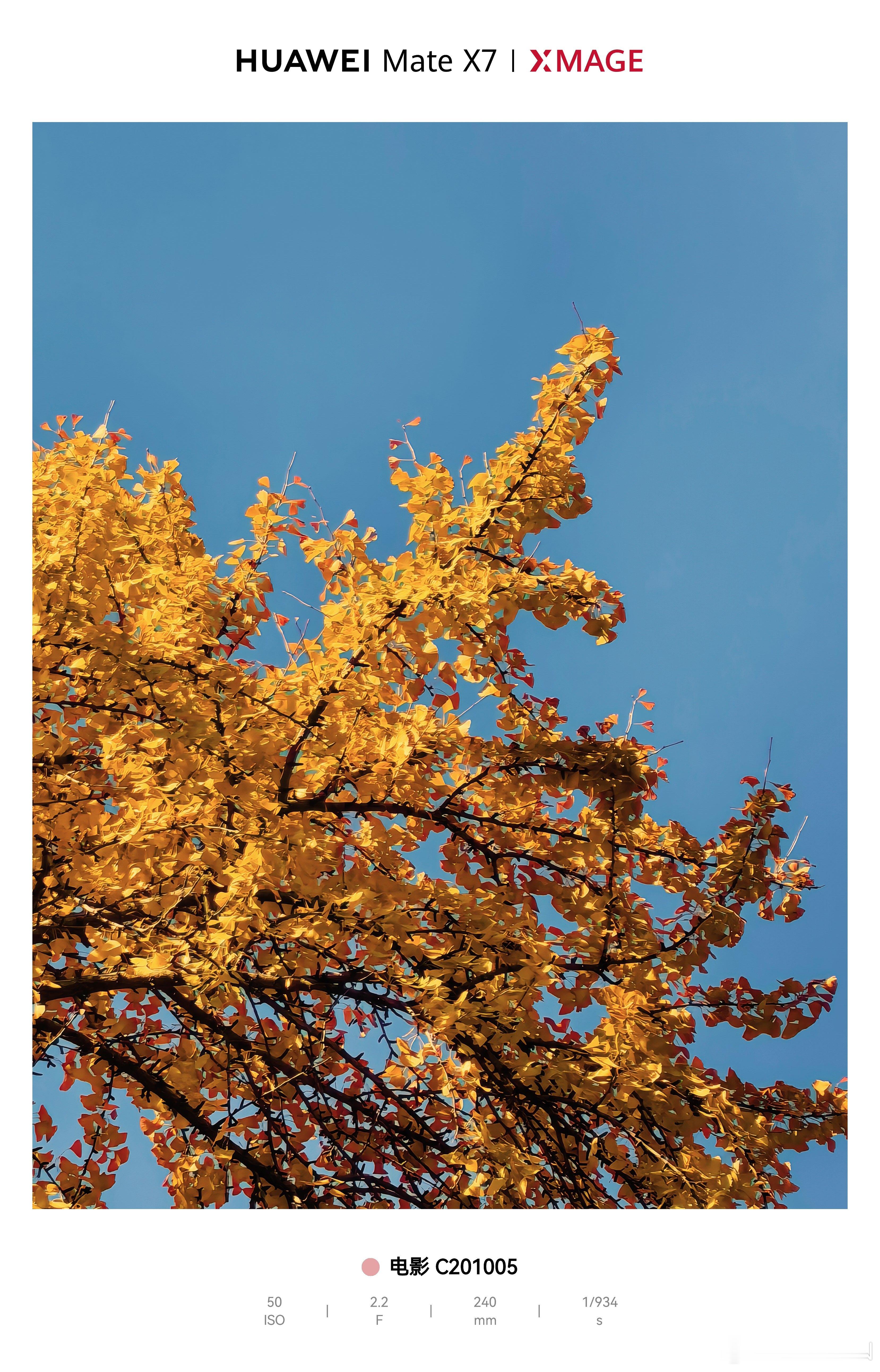 iPhone17Pro移除关键相机功能 拍照方面苹果确实比不上国产OVHRM，甚