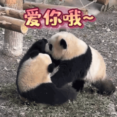 聊天必备表情包第694弹黑白小丸子 ​​​（拿图吱声） ​​​