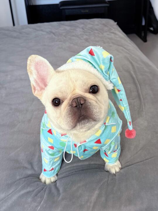 有谁会在乎我的新睡衣呢？