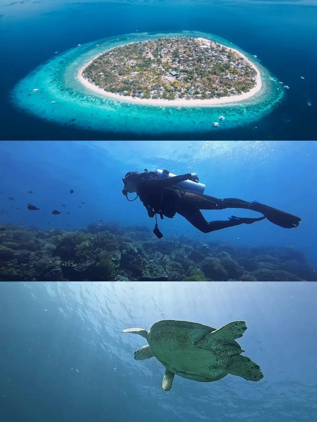 浮潜碎片🧩挑战克服深海恐惧！