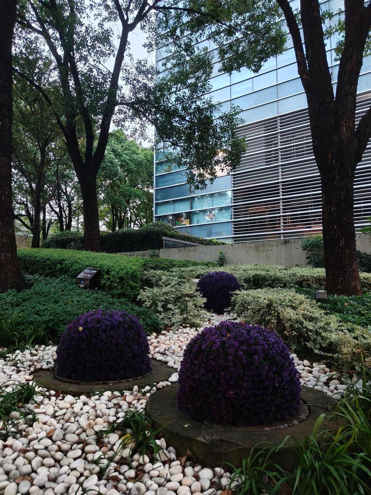 园艺生活美学 花的花园世界