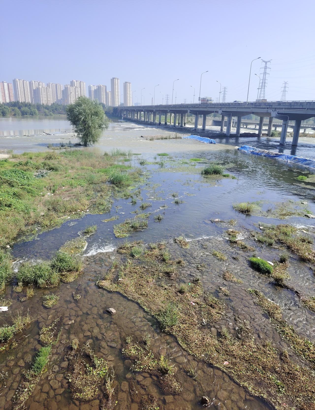 “3800立方米/秒冲下来，莲石湖5分钟变海。
”
8月3日凌晨，司机老赵眼