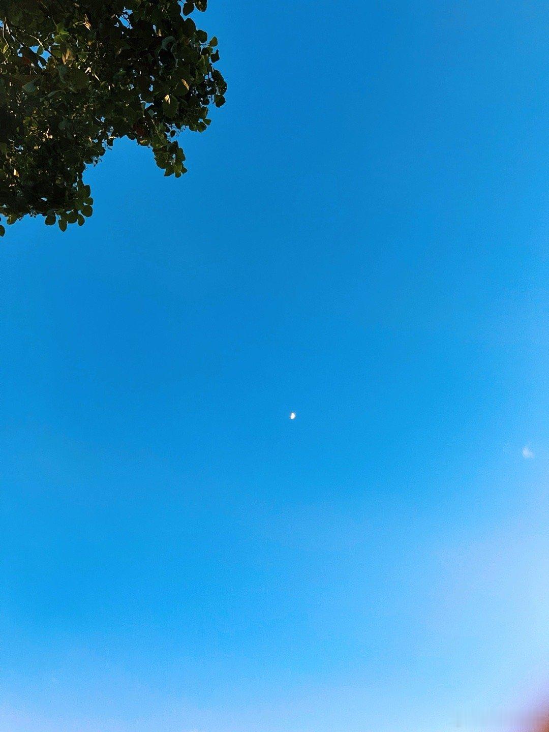 随手拍 昨日份和今日份此时此刻 20260622。周一。五月初八。月亮升上了天空