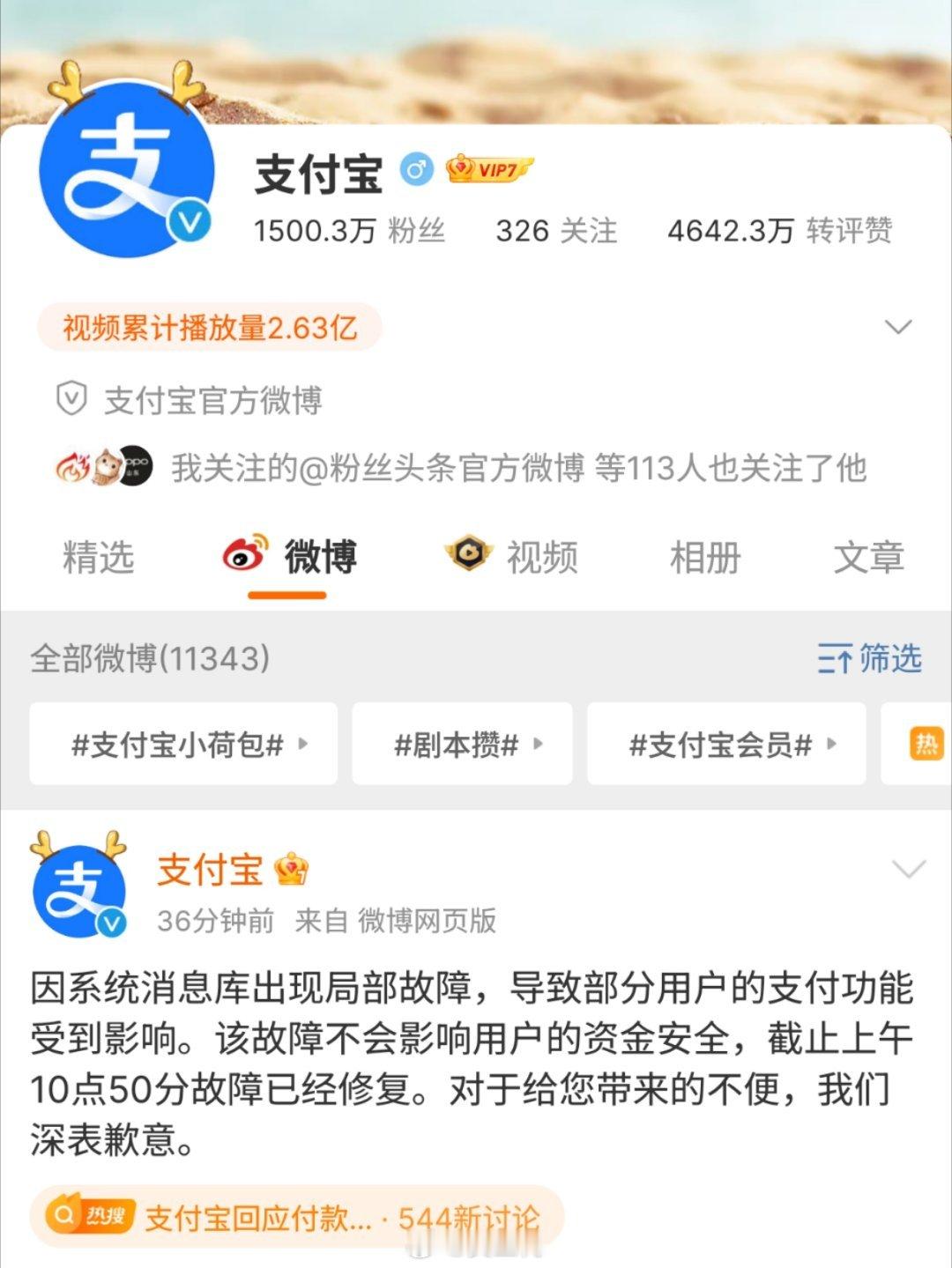 #支付宝回应付款异常#希望你们能理解支付宝的良苦用心，今天双11它在劝我们理性消