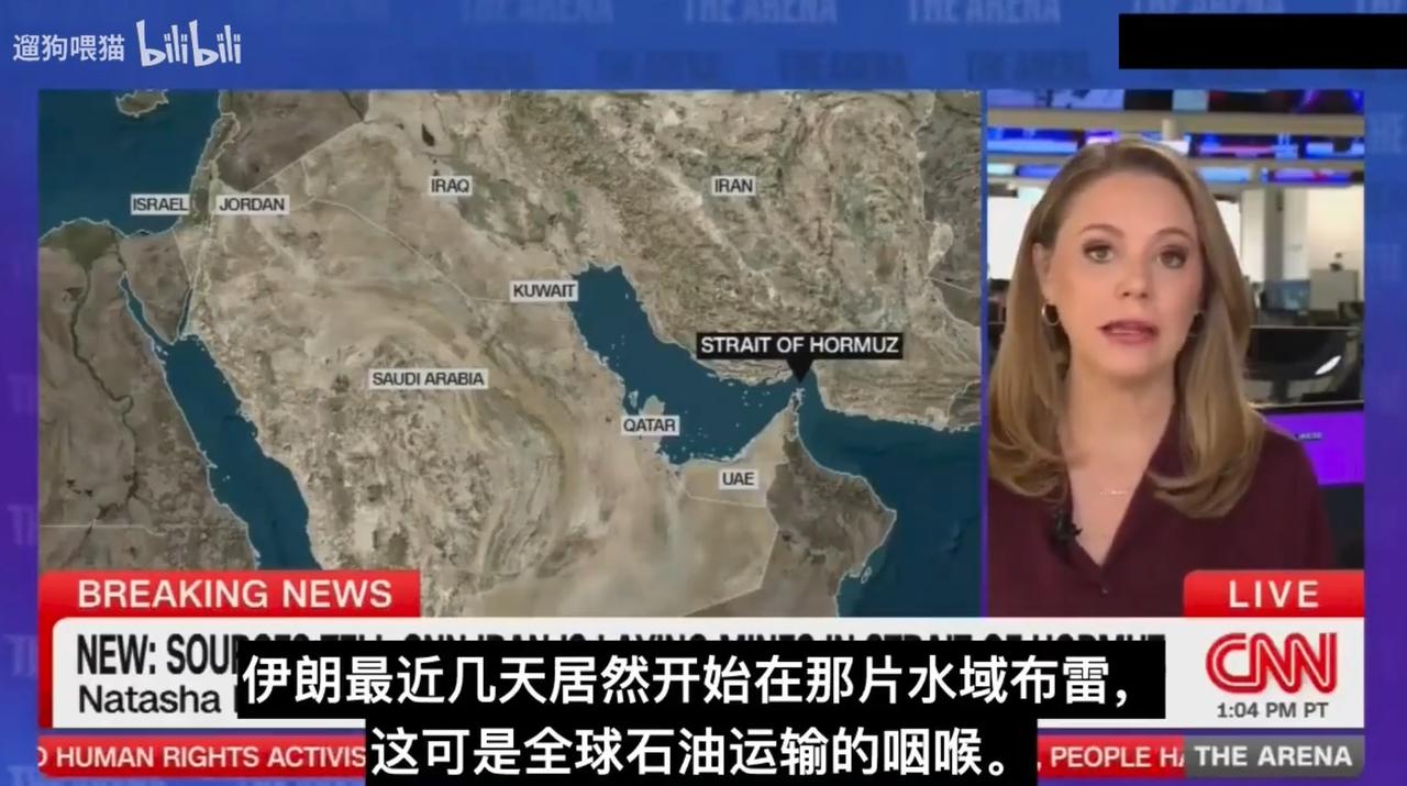 CNN报道称伊朗已经开始部署水雷！特朗普发帖称必须移除！
 
朗哥放弃幻想，破罐