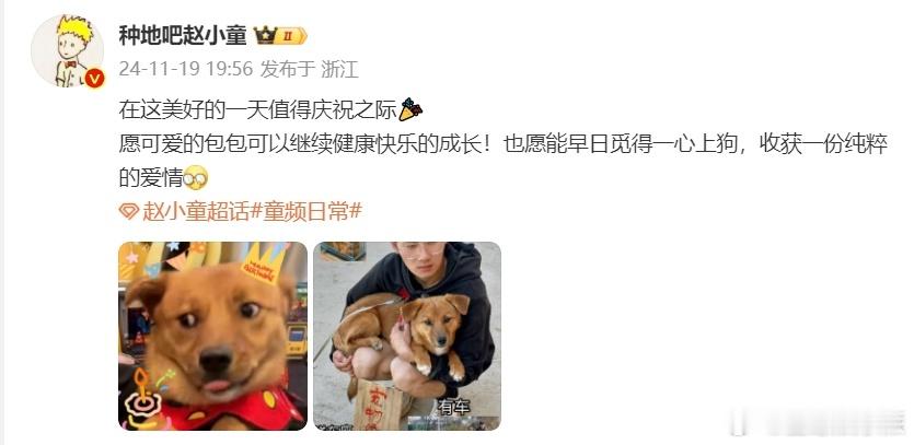 赵小童发文给红包庆生  后陡门嫡长子红包在三号房过生日啦，它那可爱的模样总是能融