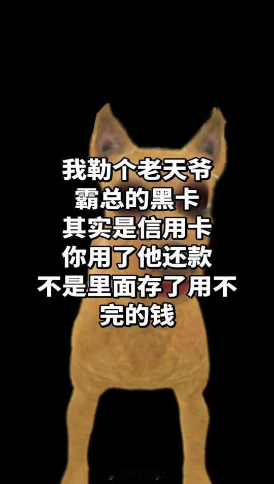 霸总的黑卡竟然是这样的