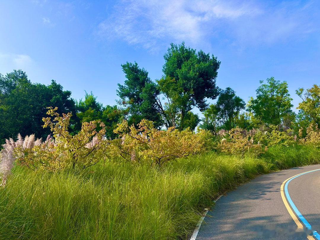 这样的风景，宅在家里的人是看不到的。跑出去，与大自然为伴！滇池绿道梅家山，大美，
