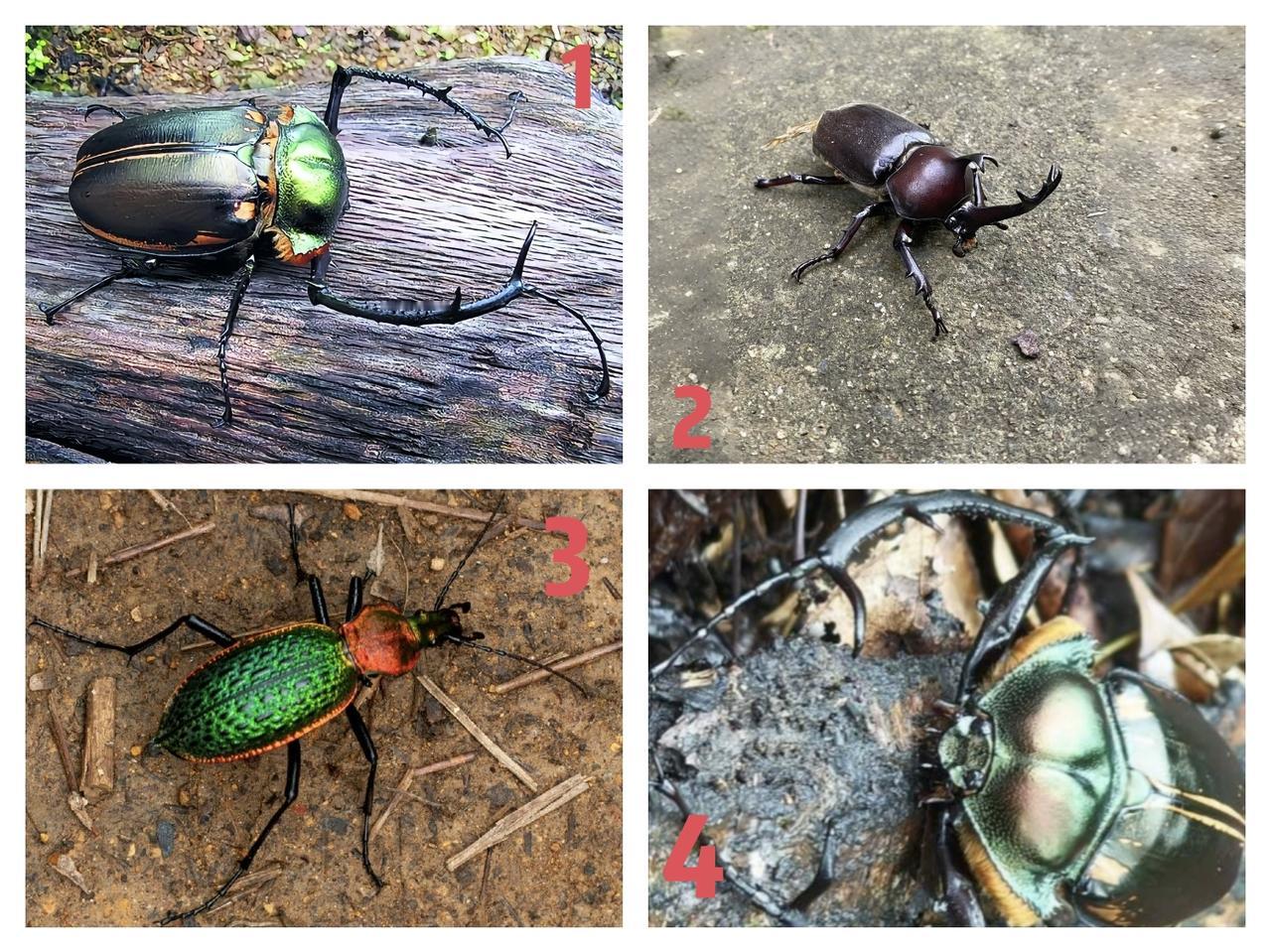 你们小时候都见过图几的？