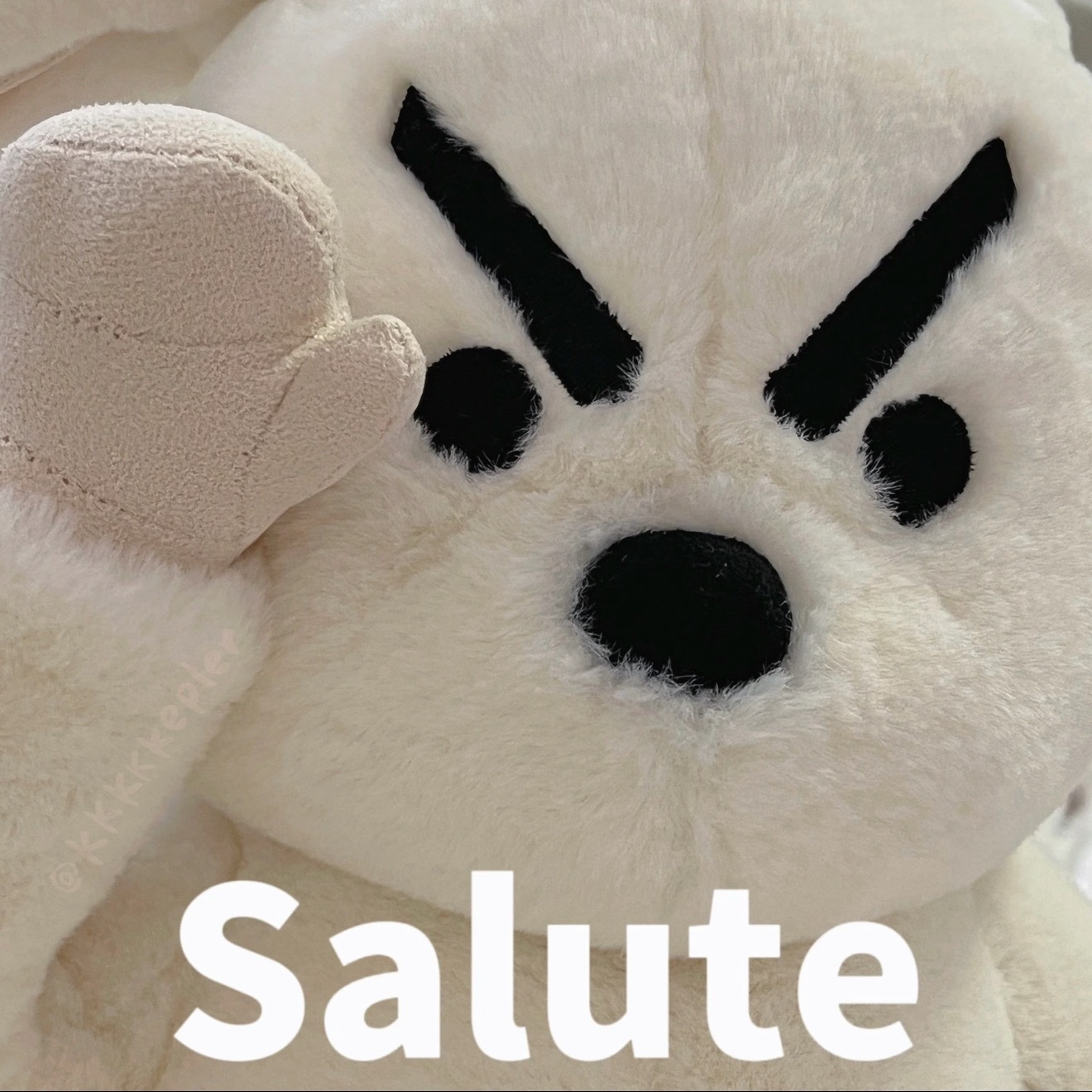 倒计时24h。踩踩。🙏 