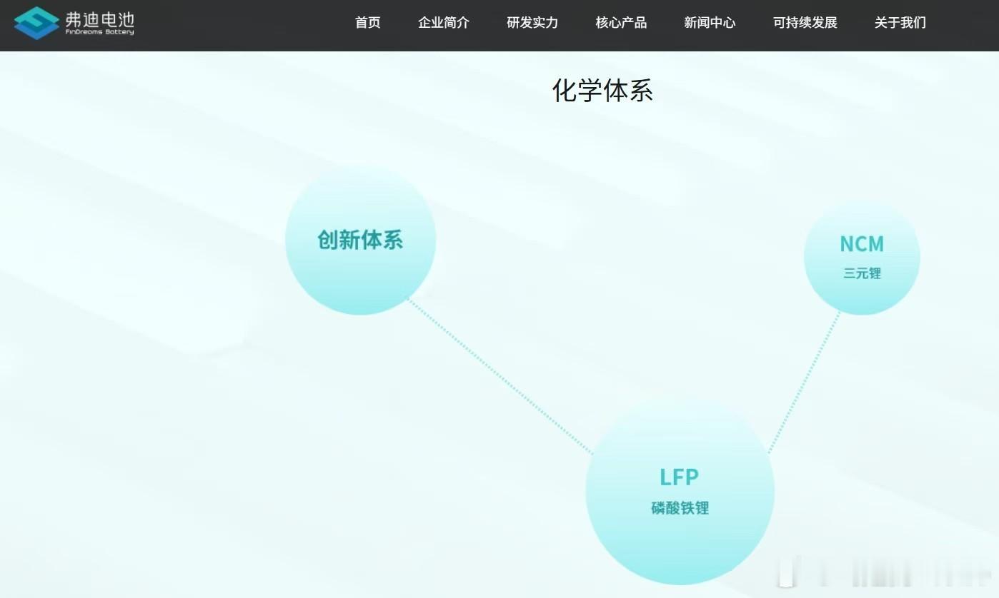 三元锂、磷酸铁锂都是很好的锂电池技术路线，各有优势我们需要共同发展弗迪动力就是很