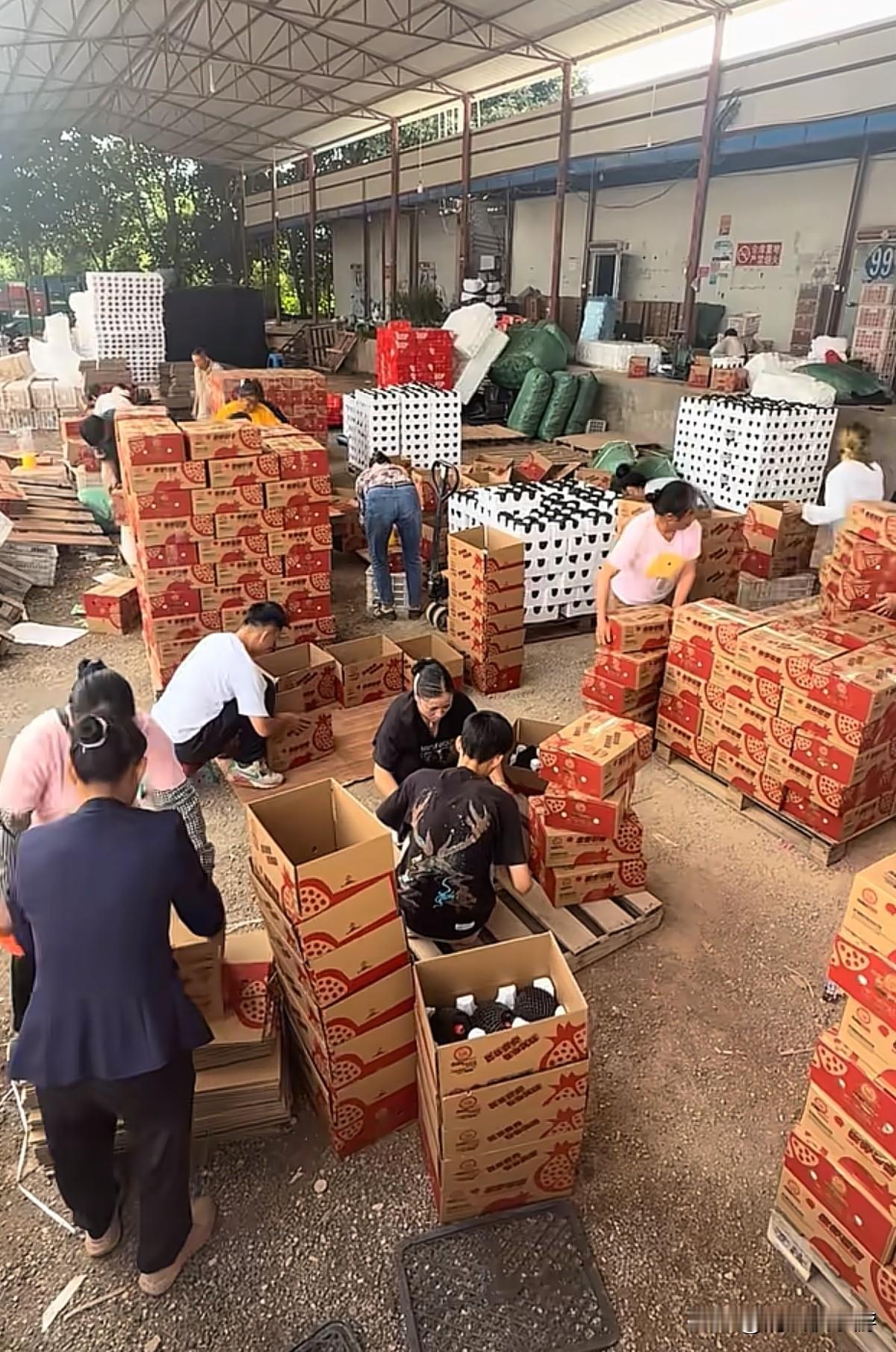 一个人在家做电商，今天2500多单全部发出，虽然很挣钱，但是怕苦，怕累，怕麻烦的