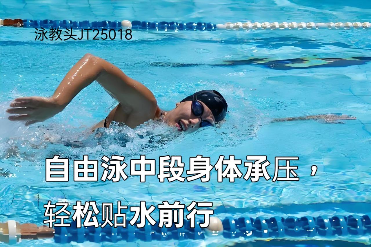 泳教头 | 泳讲堂：自由泳中段身体承压，轻松贴水前行
 
自由泳游得累、身体像“