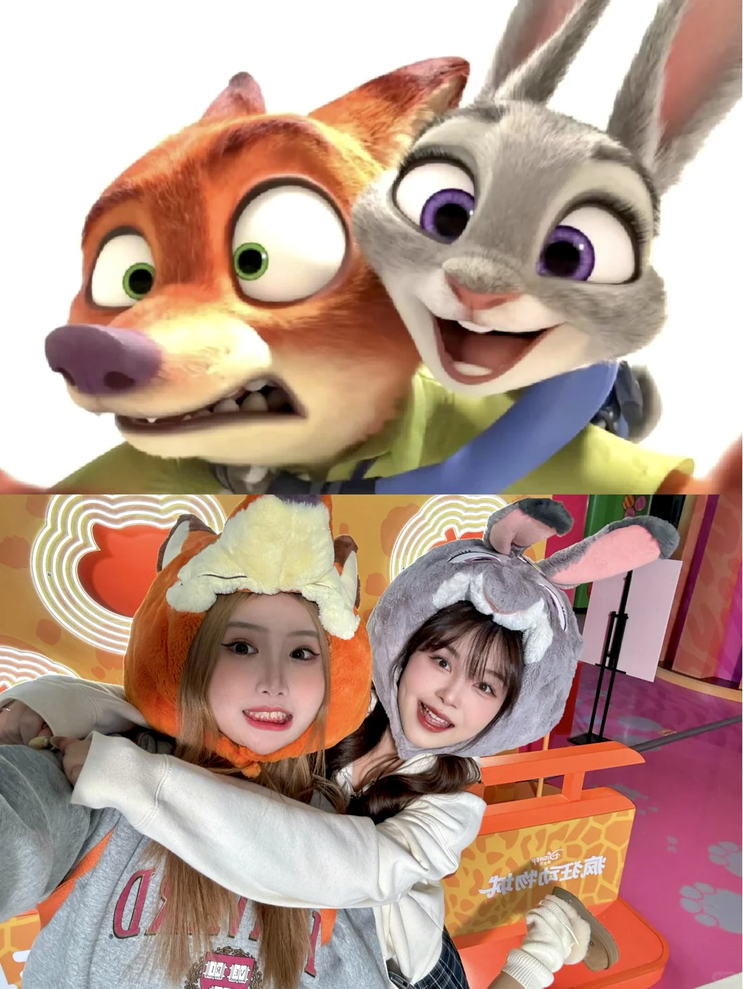 🦊🐰去疯狂动物城和朋友这样拍包出片！！