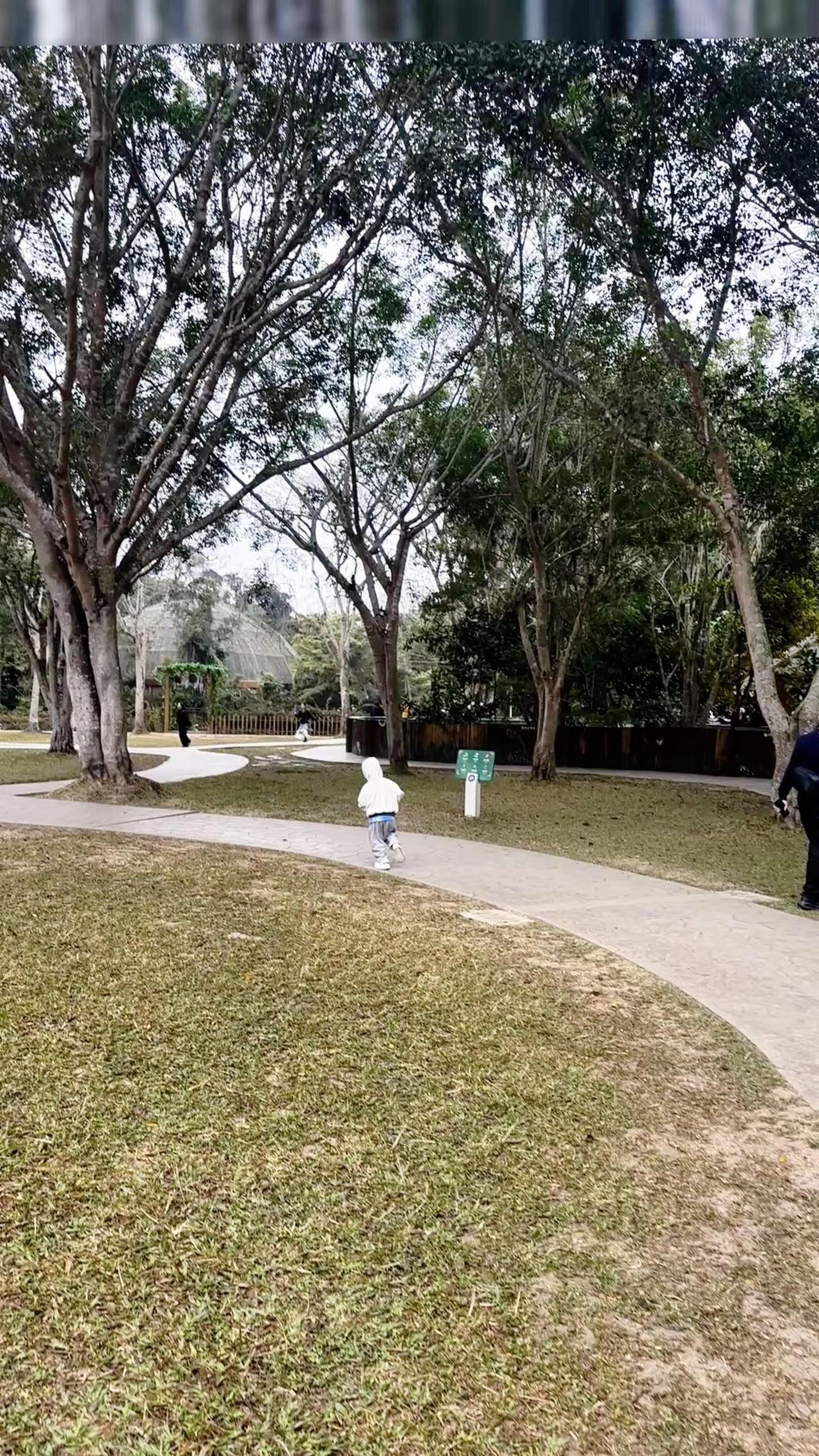 记录旅游足迹 用镜头记录的旅行瞬间 记录孩子的点点滴滴 带娃出游 户外亲子时光