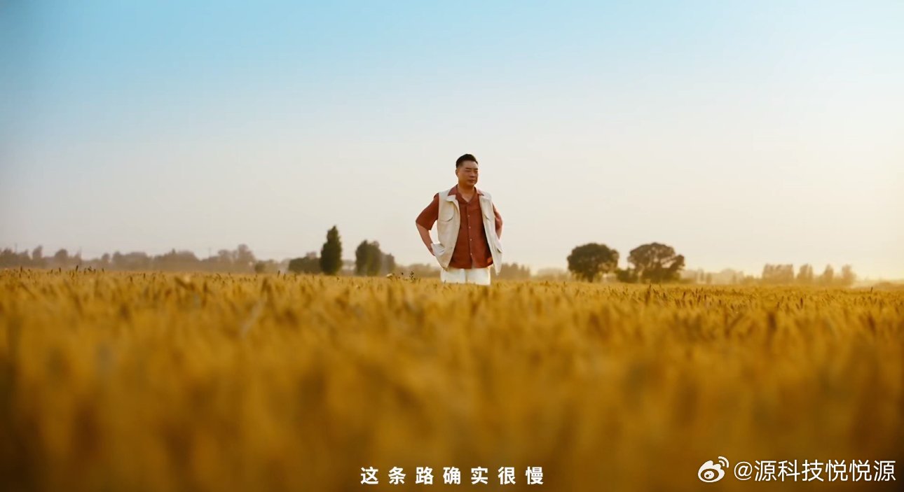 看河北麦收成了网友的顶级疗愈 看着这金黄的麦浪，仿佛能闻到面香。立足本土资源禀赋