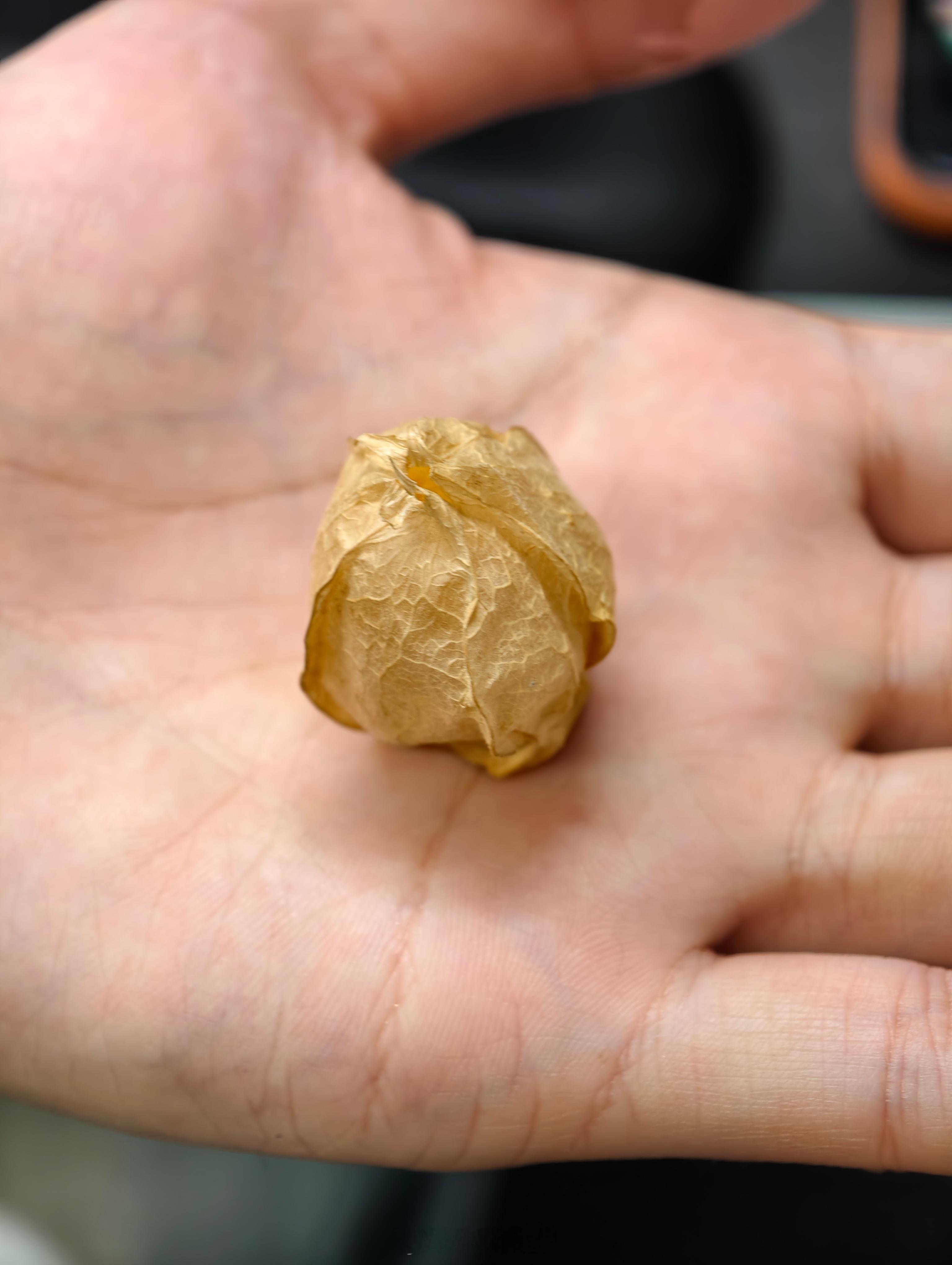 小伙伴给我分了几个果子吃，不太认识[允悲]问了AI助手，看回答应该是酸浆果，大家