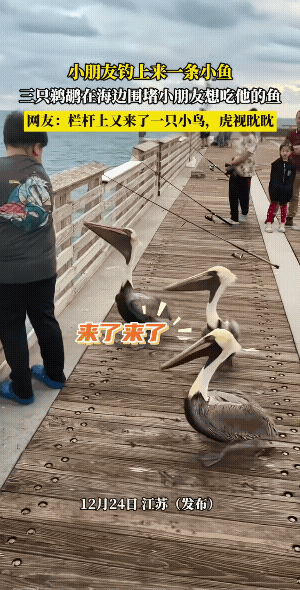 钓上来了，三个鸬鹚眼叭叭的瞅着小孩哥钓的鱼。此时此刻，小孩哥正不知道怎么办时，又