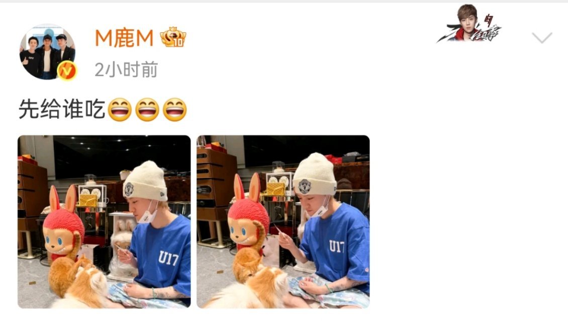 ：先给谁吃实在不行两只同时喂吧，当爸的要一碗水端平！！！ 