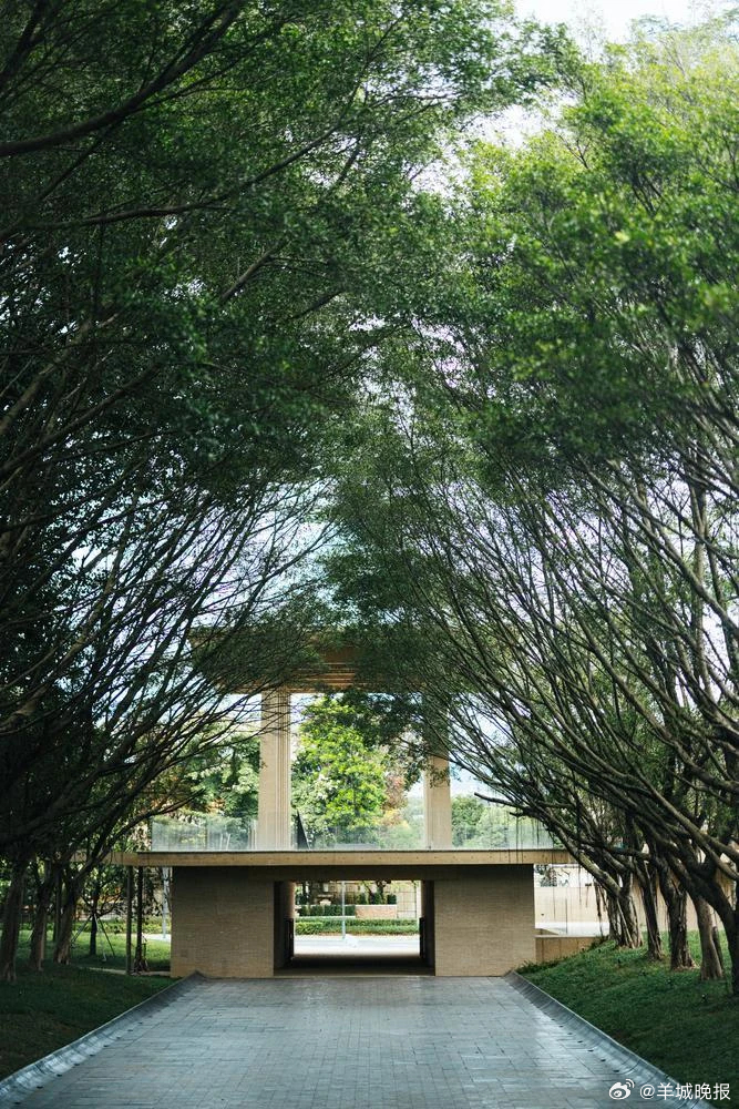 【没有海的广州阿那亚，为何这么多人？| 茶楼·跑街】从广州市区去往中旅·阿那亚·