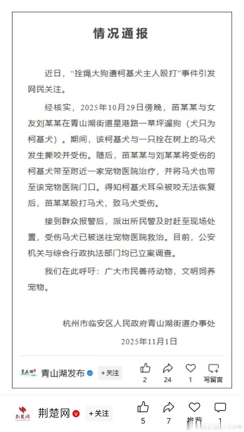🔻拴绳大狗遭柯基犬主人殴打，官方通报：苗某某得知柯基犬耳朵被咬无法恢复后，殴打