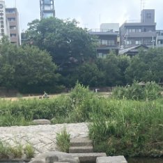 生活手记平静的水面，阳光迷恋大地，问候由表及里；雨水连接天地，牵挂拉近距离；花朵