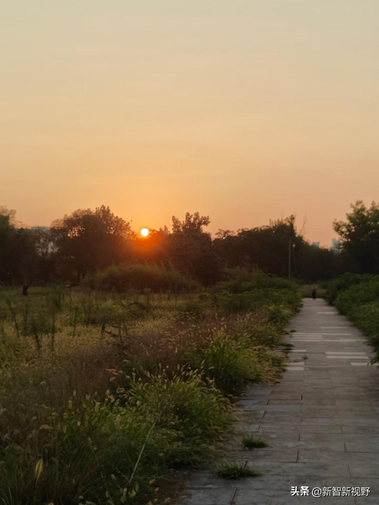 夕阳西下，漫步在凤翔林间小道上黄昏后的风景 绿树间漫步影像 夕阳林荫道 林间晨景