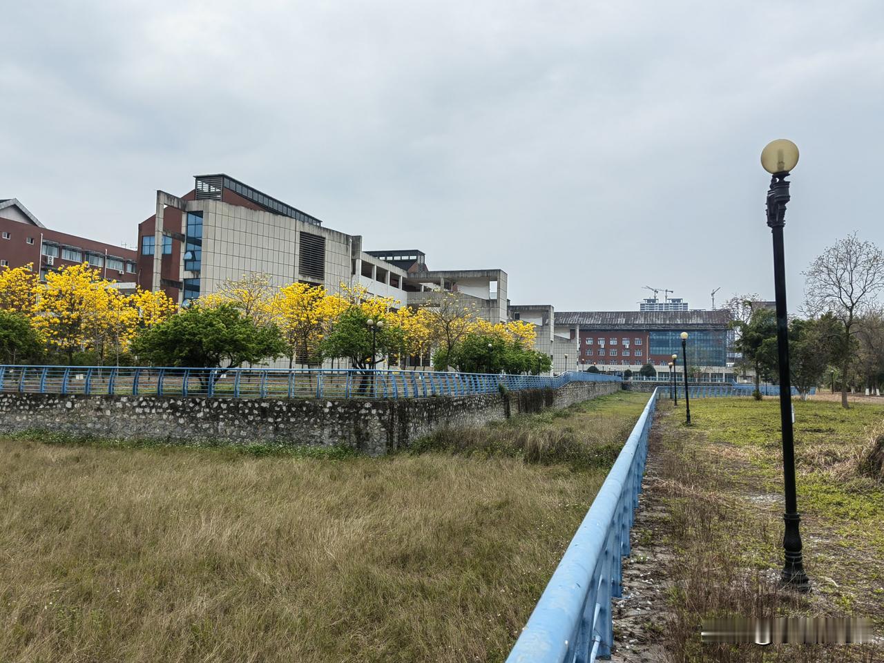 天上银河谁摆渡
黄土高坡任水流

天上银河谁摆渡
地下江水鸭横游
