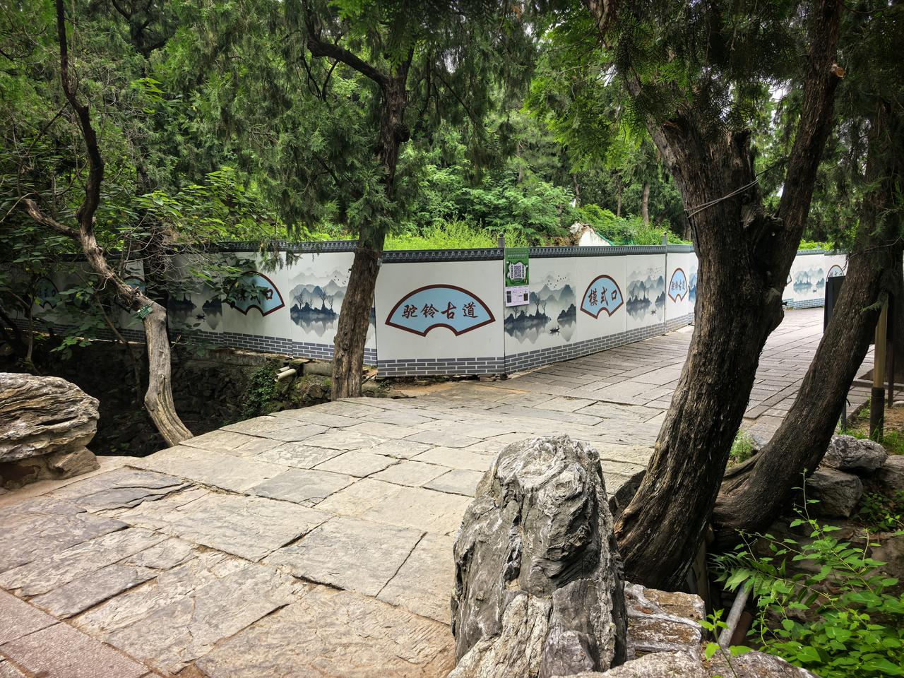 北京法海寺五绝之首“四大天王柏”

法海寺山门前高耸着四棵参天古柏，它们对称生长
