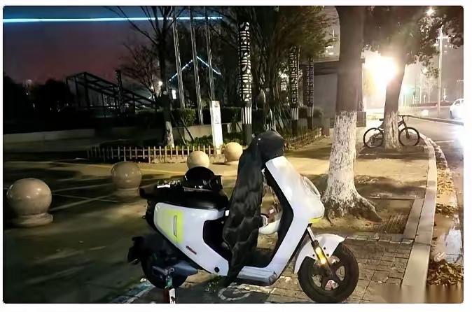 峰哥的小电驴子，陪他风里来雨里去，如今峰哥太累了，驾鹤西游了！小电驴子陪他上班，