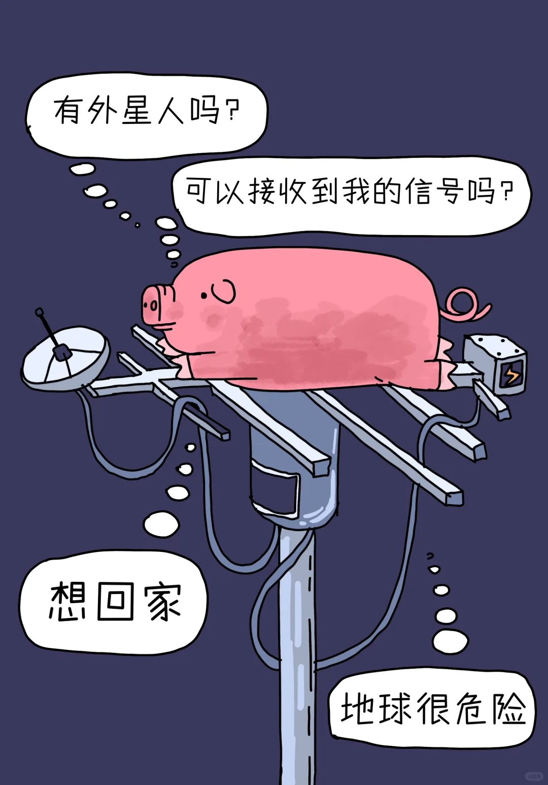 一只爬上电线杆的猪