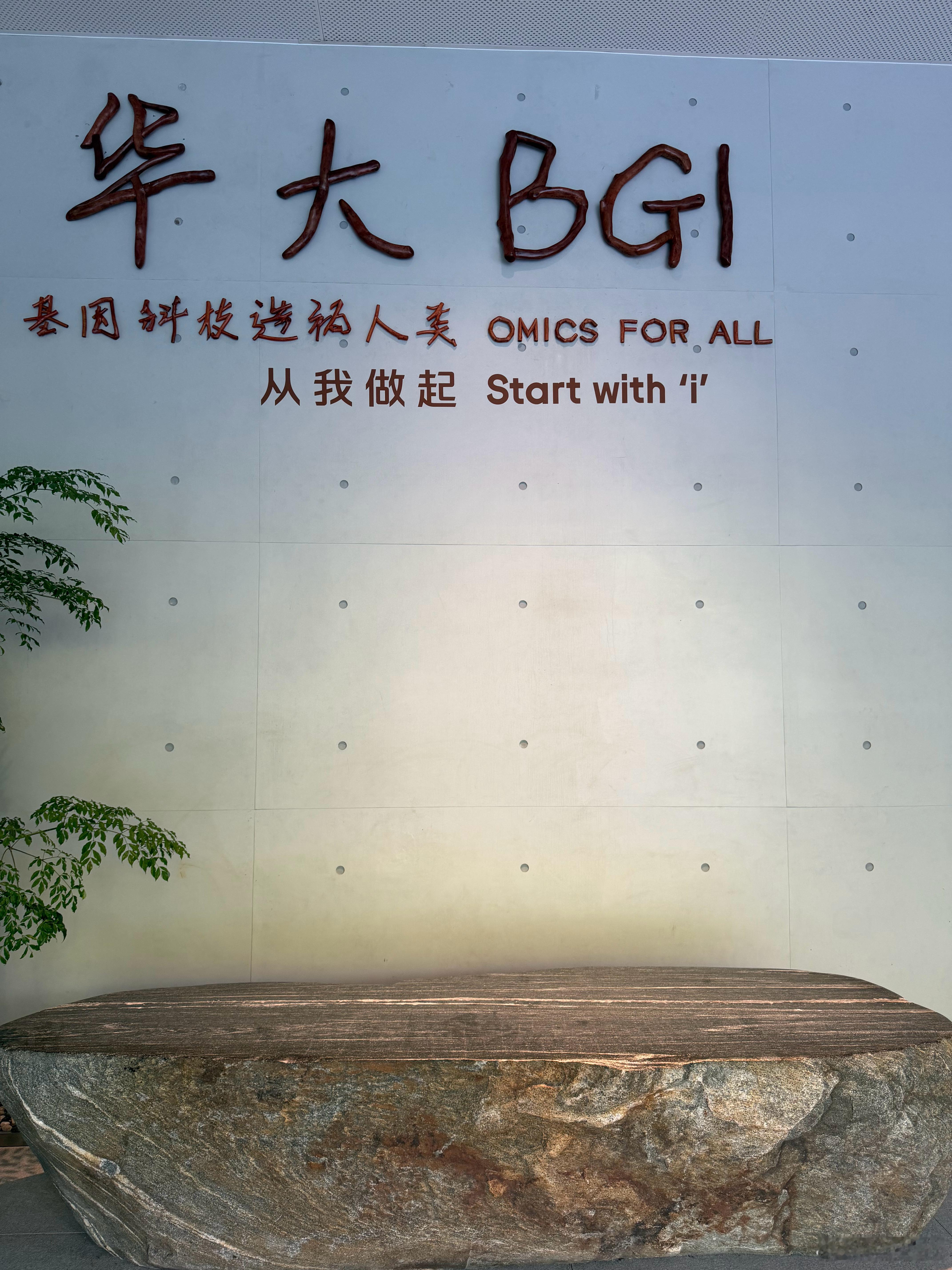 今天我们来到了华大集团 