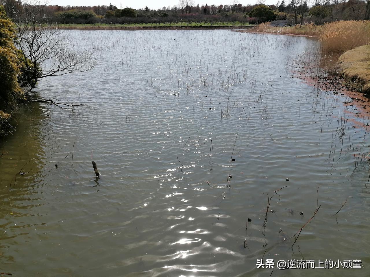 培养钝感力：别太敏感
遇事就崩溃、对错误耿耿于怀、别人一个眼神就觉得 “在说自己