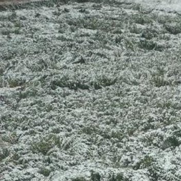 这个普通的节气里，我却过早的折戟沉沙的留在了原地，再也不能像过去驰骋沙场，人生如