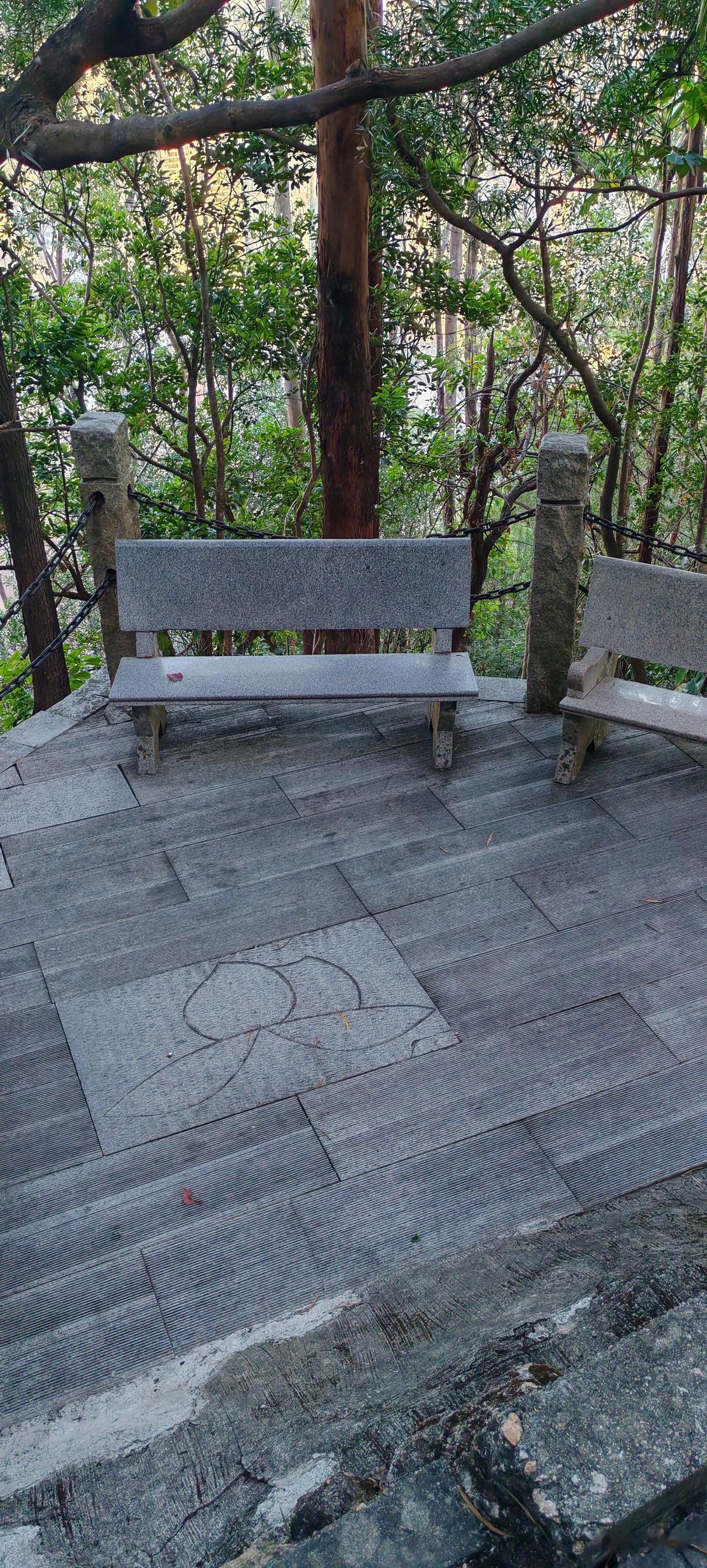 本来今天休息想多写几条的，一个电话打乱了所有计划。
和他弟妹聊了两个多小时，他的