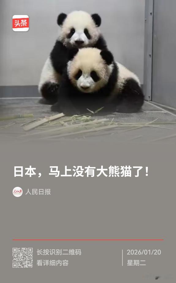 『日本马上就要没有大熊猫了』目前，日本国内仅2只大熊猫，为东京上野动物园的“晓晓