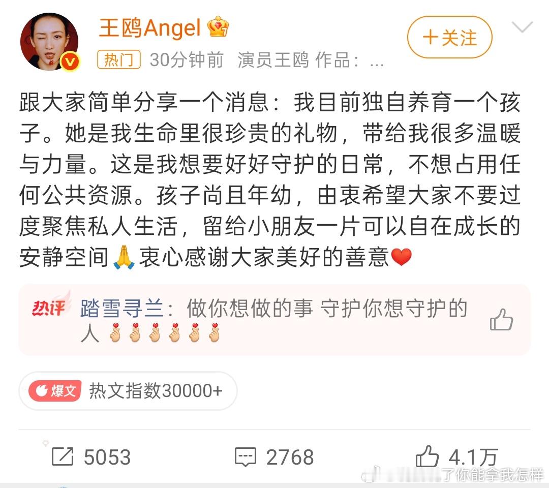 王鸥 我目前独自养育一个孩子内娱又多一个孩子啊？ ​​​